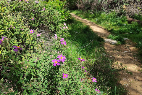 05 NİSAN MERGEZ İLE LAMOS - KAYACI VADİSİ VE DOKTORUN YERİ DOĞA YÜRÜYÜŞÜ