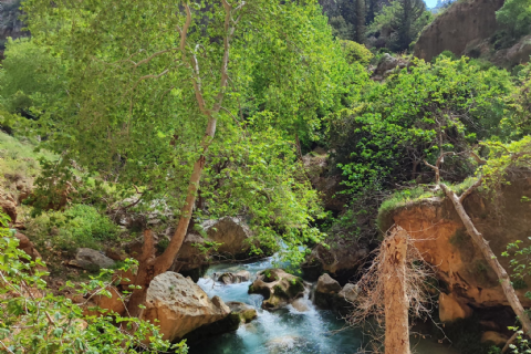 05 NİSAN MERGEZ İLE LAMOS - KAYACI VADİSİ VE DOKTORUN YERİ DOĞA YÜRÜYÜŞÜ