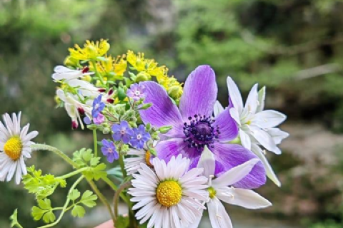 05 NİSAN MERGEZ İLE LAMOS - KAYACI VADİSİ VE DOKTORUN YERİ DOĞA YÜRÜYÜŞÜ