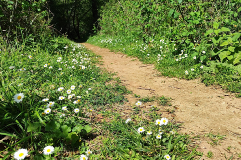 05 NİSAN MERGEZ İLE LAMOS - KAYACI VADİSİ VE DOKTORUN YERİ DOĞA YÜRÜYÜŞÜ