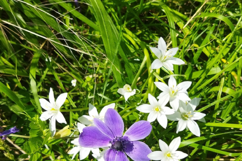 05 NİSAN MERGEZ İLE LAMOS - KAYACI VADİSİ VE DOKTORUN YERİ DOĞA YÜRÜYÜŞÜ