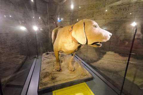 10 Kasım Günübirlik Anıtkabir Atamızı Ziyaret ve Ankara Gezisi