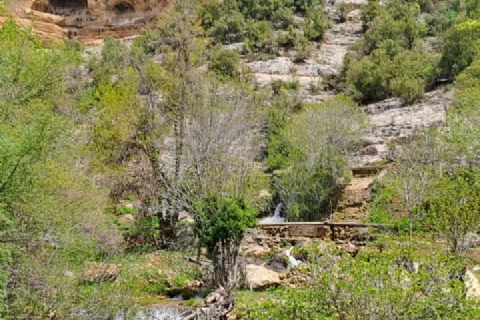 10 Mayıs Pazar Sömek-Kızılgeçit Doğa Yürüyüşü