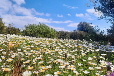 10 Mayıs Pazar Sömek-Kızılgeçit Doğa Yürüyüşü
