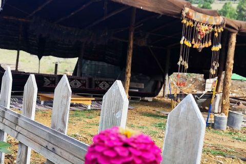 2 Farklı Lavanta Bahçesi-Kisecik Kanyonu-Namrun-Ters Ev- Kadıncık BarajıTuru