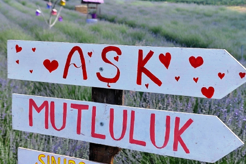 2 Farklı Lavanta Bahçesi-Kisecik Kanyonu-Namrun-Ters Ev- Kadıncık BarajıTuru