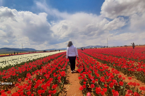 Karaman Lale Bahçeleri, Hadim Göksu Şelaleleri Turu