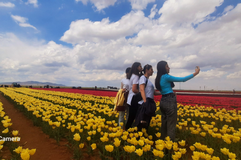 Karaman Lale Bahçeleri, Hadim Göksu Şelaleleri Turu