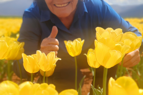 Karaman Lale Bahçeleri, Hadim Göksu Şelaleleri Turu