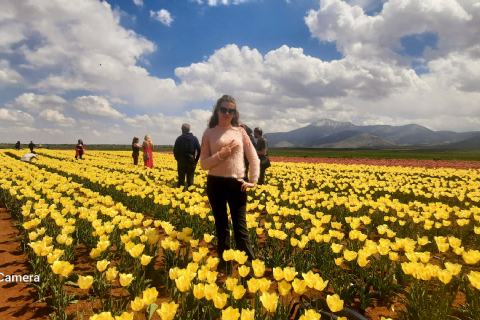 Karaman Lale Bahçeleri, Hadim Göksu Şelaleleri Turu
