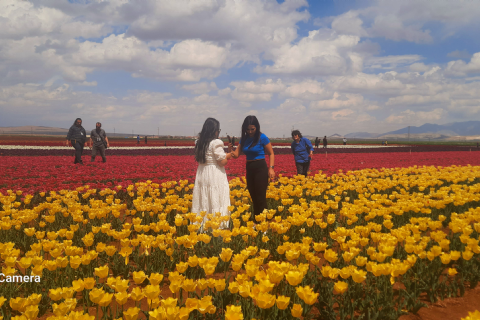 Karaman Lale Bahçeleri, Hadim Göksu Şelaleleri Turu