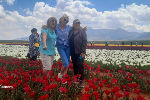 Karaman Lale Bahçeleri, Hadim Göksu Şelaleleri Turu