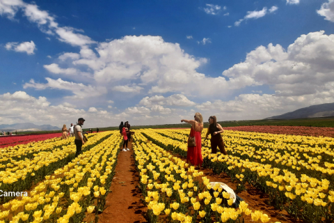 Karaman Lale Bahçeleri, Hadim Göksu Şelaleleri Turu