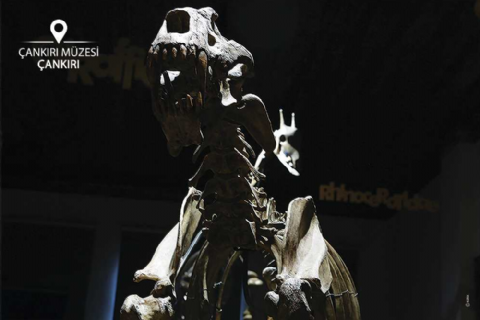 28 Aralık Pazar-Çankırı Tuz Mağarası-Çankırı Müzesi-Koca Meşe-Tarihi Çankırı Evleri-Çankırı Kalesi- Taş Mescit- Hazimiye Gazozcusu Turu- Günübirlik