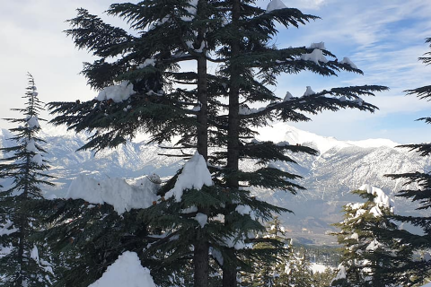 Armutoluğu Yaylası Kar Doğa Yürüyüşü- Mergez Macera Turizm
