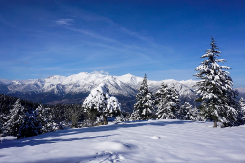 Armutoluğu Yaylası Kar Doğa Yürüyüşü- Mergez Macera Turizm