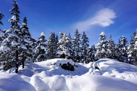 Armutoluğu Yaylası Kar Doğa Yürüyüşü- Mergez Macera Turizm