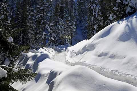 Armutoluğu Yaylası Kar Doğa Yürüyüşü- Mergez Macera Turizm