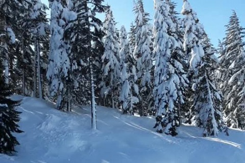 Armutoluğu Yaylası Kar Doğa Yürüyüşü- Mergez Macera Turizm