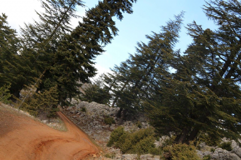 Çamlıyayla Baştepe Doğa Yürüyüşü