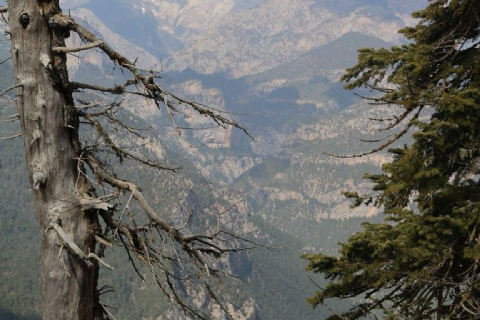 Çamlıyayla Baştepe Doğa Yürüyüşü