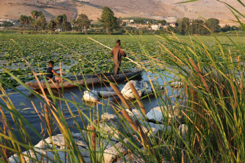 Dağ Ceylanları Çiftliği - Ozero Nilüfer Gölü - Payas Ve Çevresi Turu