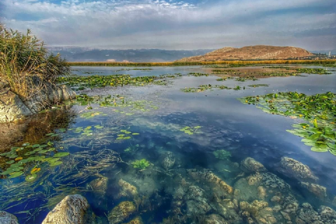 Dağ Ceylanları Çiftliği - Ozero Nilüfer Gölü - Payas Ve Çevresi Turu
