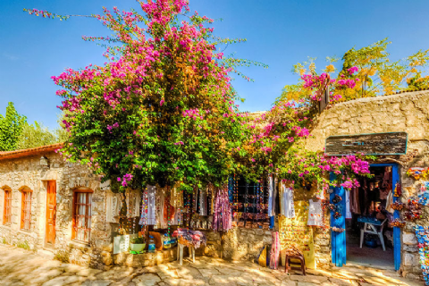 Datça Bademçiçeği Festivali- Marmaris Ve Muğla Turu- Mergez Macera Turizm Özel 2026