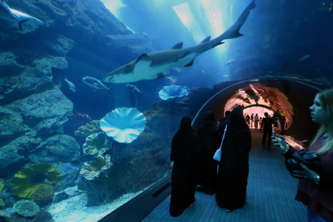 Dubai Turu 24 Mayıs Adana Hareketli 24-27 MAYIS  Freebird Hava Yolları ile 3 Gece 4 Gün Dubai Şehir Turu Dahil! MERGEZ MACERA TURİZM 2026