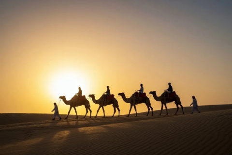 Dubai Turu 24 Mayıs Adana Hareketli 24-27 MAYIS  Freebird Hava Yolları ile 3 Gece 4 Gün Dubai Şehir Turu Dahil! MERGEZ MACERA TURİZM 2026