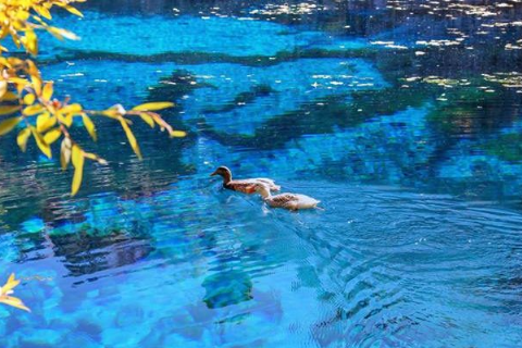 Gökpınar Turkuaz Göleti-Levent Kanyonu Ve Seyir Terası-Somuncubaba Külliyesi-Günpınar Şelalesi Turu- Mergez Macera Turizm 2026