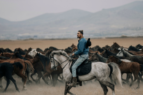 Hürmetçi Yılkı Atları, Yaban Hayatı, Hürmetçi Sazlığı Manda Sürüleri, Bayramhacı Turizm Köyü, Palas Tuzla Gölü, Erdemli Vadisi Turu- MERGEZ 2026
