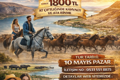 Hürmetçi Yılkı Atları, Yaban Hayatı, Hürmetçi Sazlığı Manda Sürüleri, Bayramhacı Turizm Köyü, Palas Tuzla Gölü, Erdemli Vadisi Turu- MERGEZ 2026