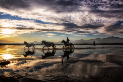 Hürmetçi Yılkı Atları, Yaban Hayatı, Hürmetçi Sazlığı Manda Sürüleri, Bayramhacı Turizm Köyü, Palas Tuzla Gölü, Erdemli Vadisi Turu- MERGEZ 2026