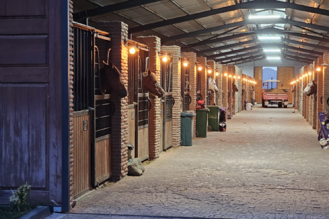 Hürmetçi Yılkı Atları, Yaban Hayatı, Hürmetçi Sazlığı Manda Sürüleri, Bayramhacı Turizm Köyü, Palas Tuzla Gölü, Erdemli Vadisi Turu- MERGEZ 2026