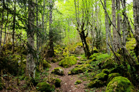 Ilgarini Mağarası- Tosya Pirinç Tarlaları- Çankırı Tuz Mağarası- Sırçalı Kanyonu- Ejder mağarası- Mantar Mağarası- Daday At Çiftliği Turu 2026