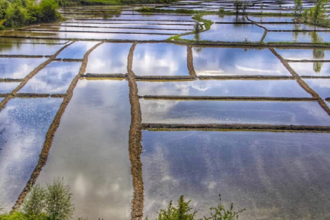 Ilgarini Mağarası- Tosya Pirinç Tarlaları- Çankırı Tuz Mağarası- Sırçalı Kanyonu- Ejder mağarası- Mantar Mağarası- Daday At Çiftliği Turu 2026