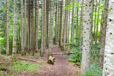 Ilgarini Mağarası- Tosya Pirinç Tarlaları- Çankırı Tuz Mağarası- Sırçalı Kanyonu- Ejder mağarası- Mantar Mağarası- Daday At Çiftliği Turu 2026