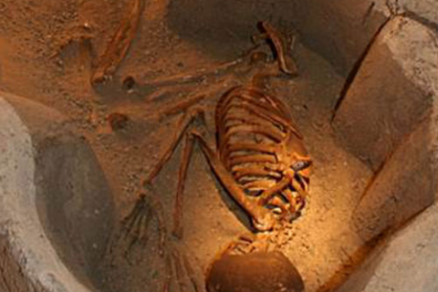 İVRİZ-ÇATALHÖYÜK-EREĞLİ ATÇİFTLİĞİ-ACIGÖL-MANTAR ÇİFTLİĞİ-HİTİT KABARTMASI TURU MERGEZ MACERA TURİZM 2025