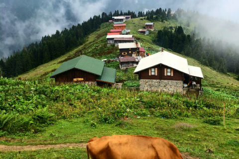 Karadeniz Ve Yaylaları Doğa Yürüyüşü ve Gezi 3 Gece Konaklamalı-MERGEZ TURİZM