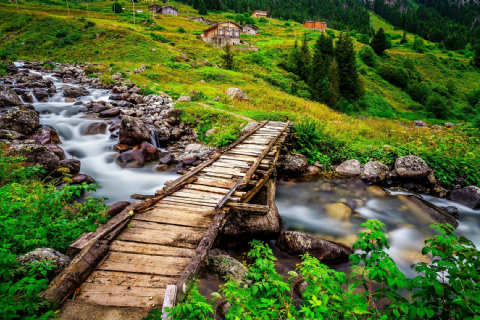 Karadeniz Ve Yaylaları Doğa Yürüyüşü ve Gezi 3 Gece Konaklamalı-MERGEZ TURİZM