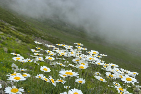 Karadeniz Ve Yaylaları Doğa Yürüyüşü ve Gezi 3 Gece Konaklamalı-MERGEZ TURİZM