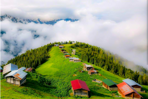 Karadeniz Ve Yaylaları Doğa Yürüyüşü ve Gezi 3 Gece Konaklamalı-MERGEZ TURİZM
