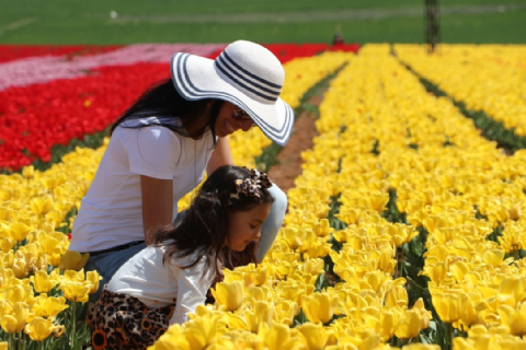 Karaman Lale Bahçeleri, Taşkale Tahıl Ambarları- Hadim Göksu Şelaleleri Turu- MERGEZ MACERA TURİZM