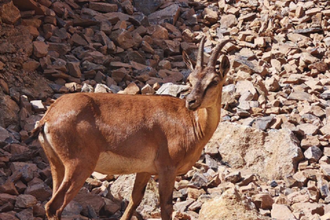 Kemaliye – Karanlık Kanyon – Apçağa Köyü – Eğin – Munzur Gözeleri – Ovacık – Tunceli Turu