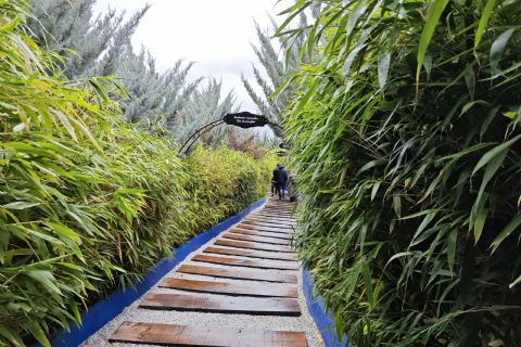 KIRŞEHİR TURU MERGEZ 2026-NEŞET ERTAŞ SEVERLERE.