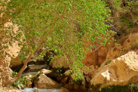 MERGEZ İLE LAMOS - KAYACI VADİSİ VE DOKTORUN YERİ DOĞA YÜRÜYÜŞÜ