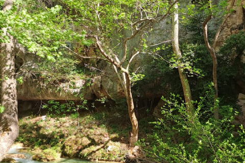 MERGEZ İLE LAMOS - KAYACI VADİSİ VE DOKTORUN YERİ DOĞA YÜRÜYÜŞÜ