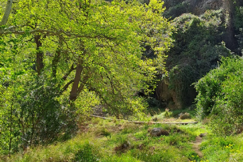 MERGEZ İLE LAMOS - KAYACI VADİSİ VE DOKTORUN YERİ DOĞA YÜRÜYÜŞÜ