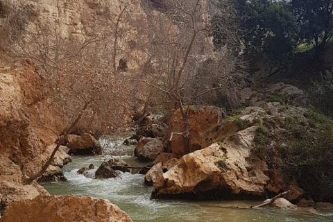 MERGEZ İLE LAMOS - KAYACI VADİSİ VE DOKTORUN YERİ DOĞA YÜRÜYÜŞÜ